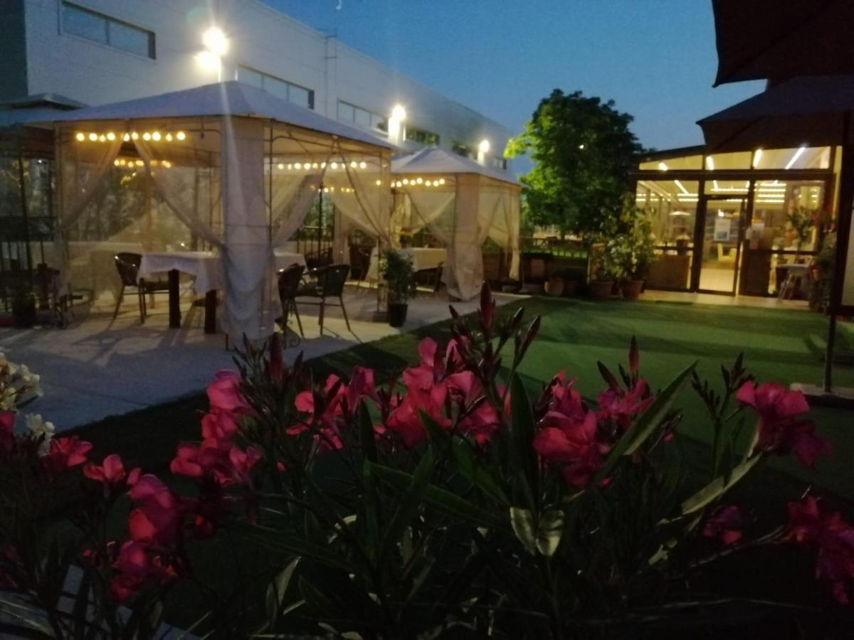 Sultan Mehmet Pensiune & Restaurant ブラショフ エクステリア 写真