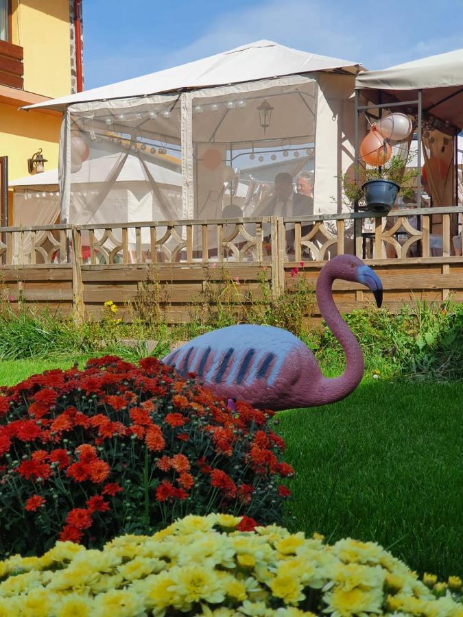 Sultan Mehmet Pensiune & Restaurant ブラショフ エクステリア 写真